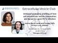 Extracellular vesicle composition and the ev profiler clotilde thry and lorena martin jaular