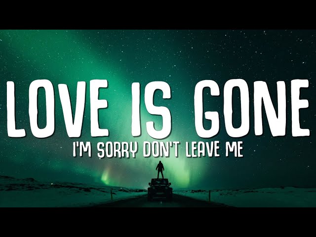 SLANDER - Love is Gone (Lyrics) ft. Dylan Matthew (Acoustic) I'm sorry don't leave me class=