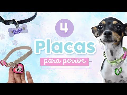 🎬 Video relacionado con chapas para perros
