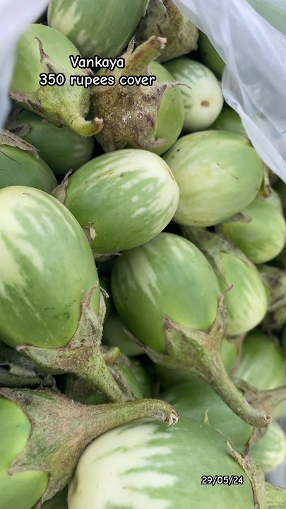 Vankaya | brinjal | Bowenpally vegetable market #brinjal #viral #trending #youtube #vegetables #vlog