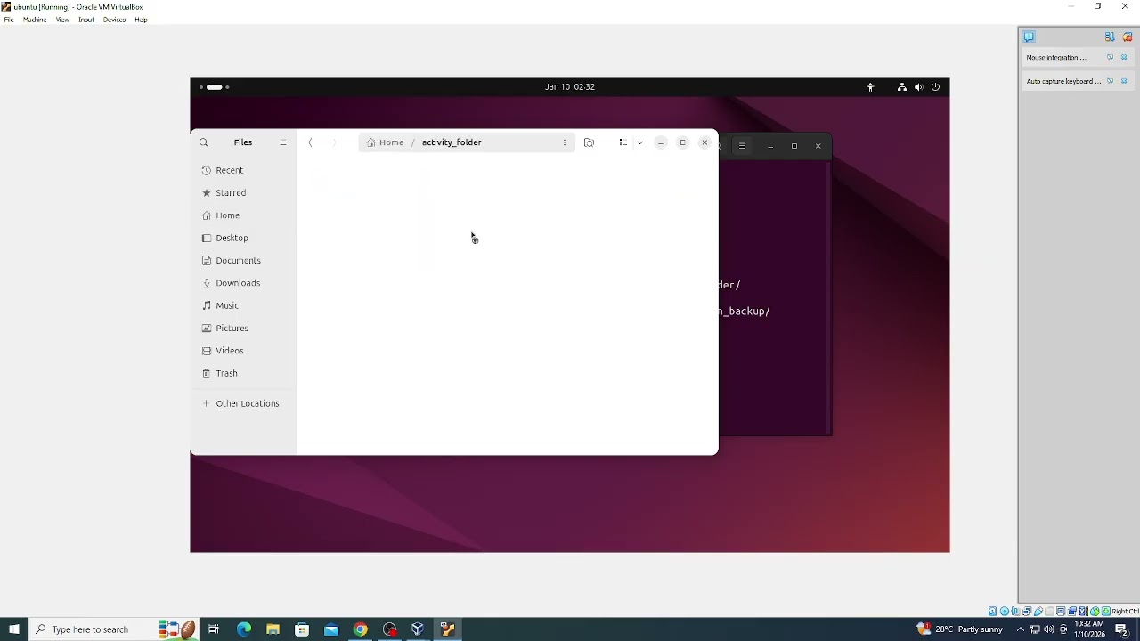 Activity #3 File Management Task CLI