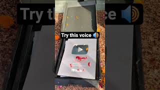 try this voice 🔊 #trendingshortvideo #vlog #duet #nothingimposibleinthisworld #automobile #miniblog