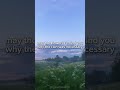 🌷#asmr #asmrroleplay #asmrrp #asmrsounds #asmrvideo #positivity #healing #comfort