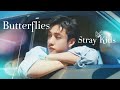 【FMV】Butterflies/Stray Kids (日本語字幕/ENG/한국어 자막)【Stray Kids】