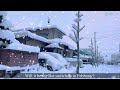 Will February Snow Disappear Forever? The Expat Life In Japan Vlog