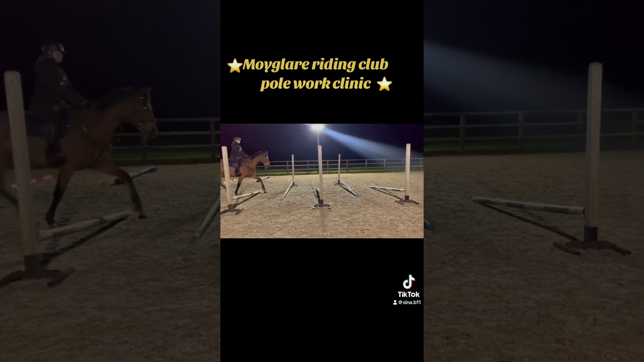 ‪@sheenaboranequestriansbe7870‬