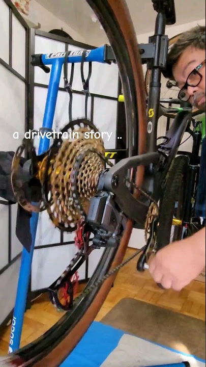 Park Tools CM-5.2 Chain Cleaner – Bicycle Emporium