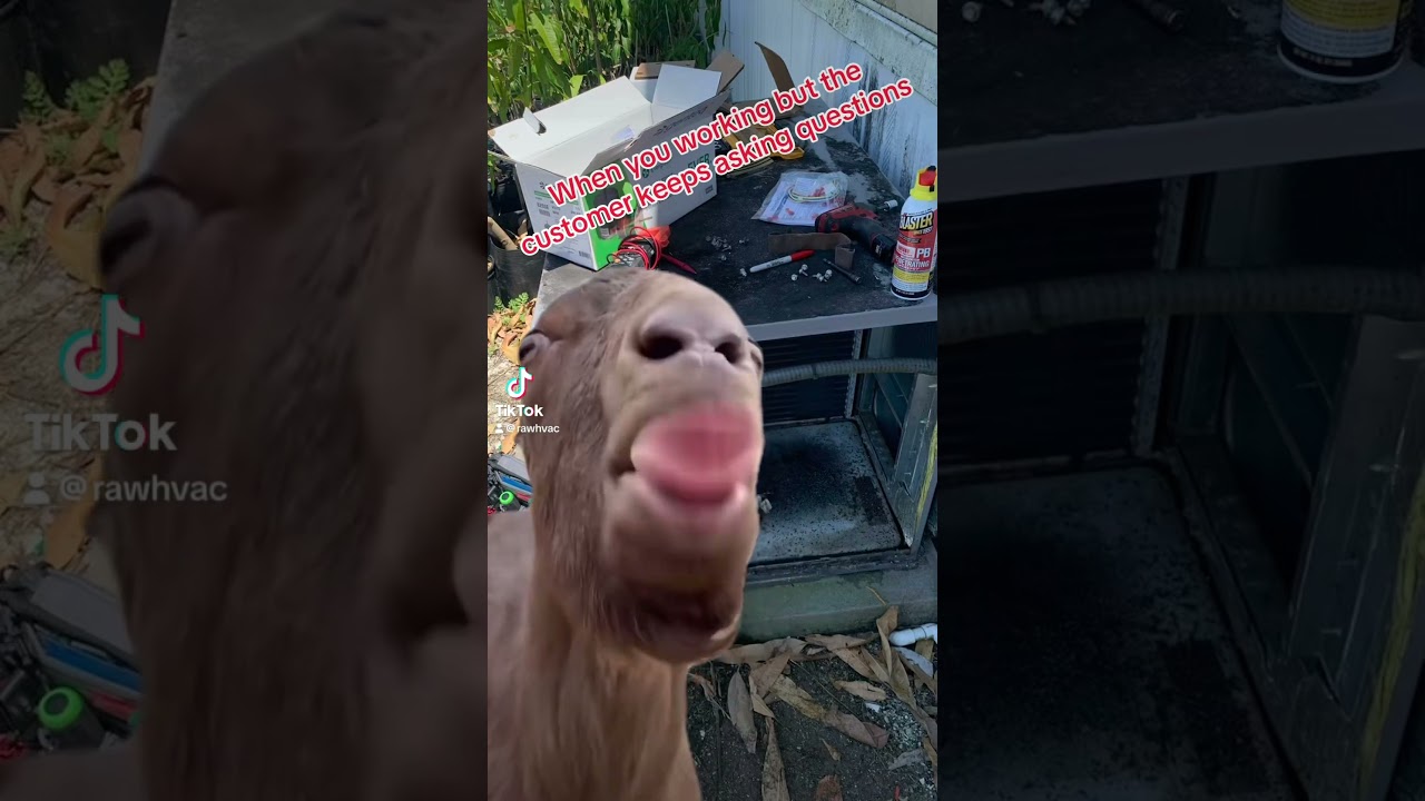 When customer keeps asking questions 