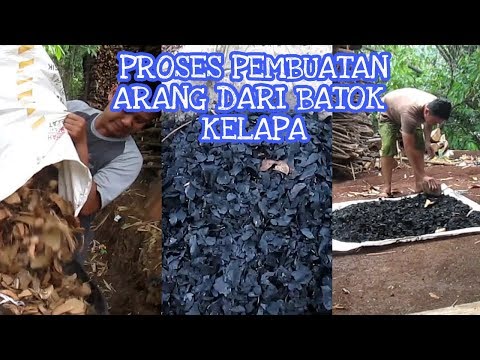 CARA DAN PROSES PEMBUATAN ARANG DARI BATOK KELAPA