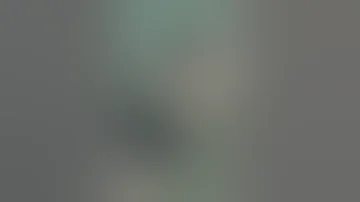 حلوين ولد حلوين 