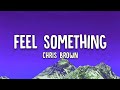 Chris Brown - Feel Something (Lyrics)