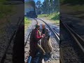 Simulate stunning survival skills #shorts #viralvideo #rdr2 #RDR2 #reddeadredemption