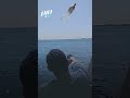 مصري يرمي طعاما في البحر لغزة مصري يرمي طعاما في البحر لغزة