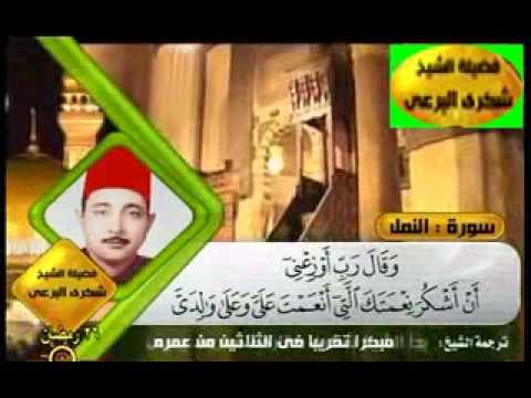 الشيخ شكرى البرعى رحمه الله سورة النمل 18 26