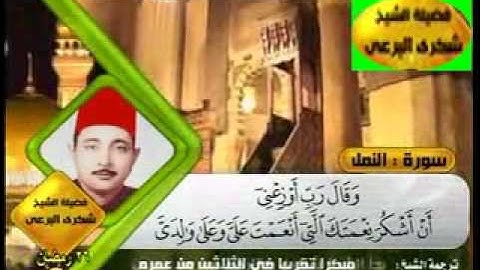 الشيخ شكرى البرعى - رحمه الله - سورة النمل  18_26
