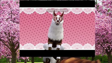 Winners of my con pls note if ididnt have yours in there