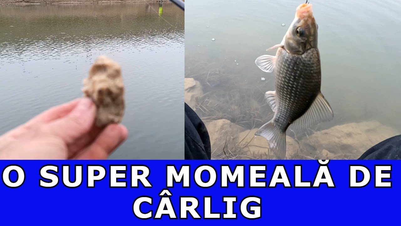 PESCUIT DUNĂRE LA PLUTĂ CU BOBIȚĂ