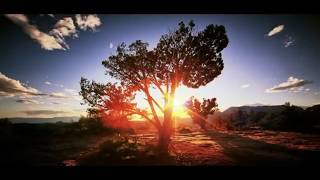 Quran Karim - surat  Al-Muzzammil  سورة  المزمل : مصطفى غربي