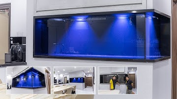 Ngắm HỒ CÁ BIỂN kính 19ly siêu trong - view 2 mặt dài vừa hoàn thiện tại Quận 10 [Trailer]