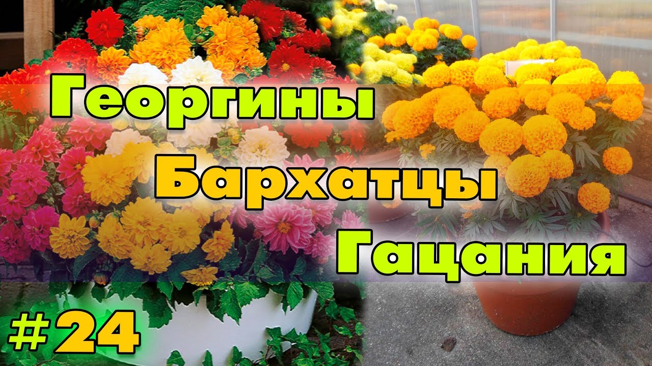 Засох картридж что делать в домашних условиях 820