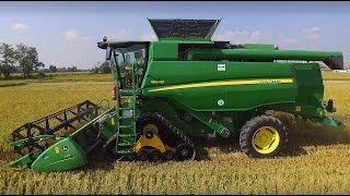 John Deere W540 -MY2017- mietitura riso / rice harvest 17/09/2016