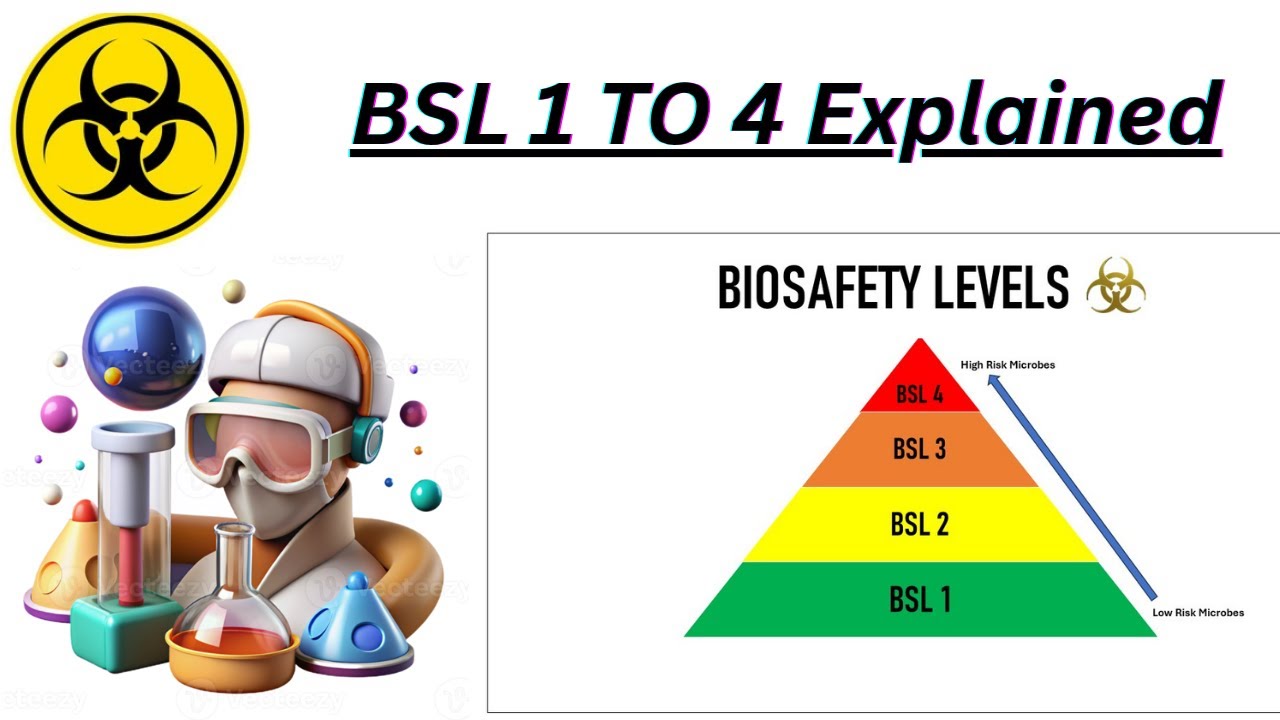 BSL 1 to BSL 4 Explained| #biosafety - YouTube