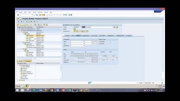 SAP Project System Scheduling