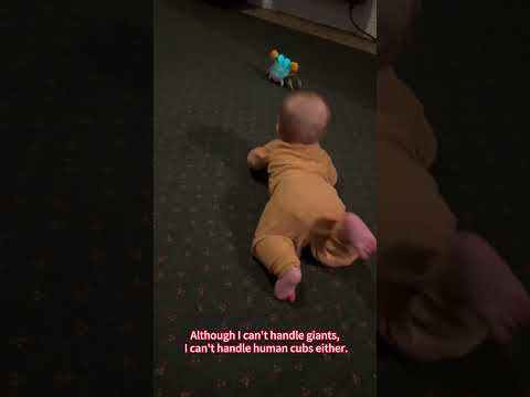 Crawling crab toys|Tummy