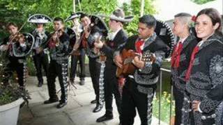 Download Lagu The Offspring- Pretty Fly Hidden Track? (from pay the man) MP3