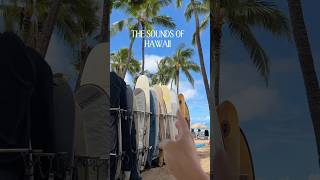 ASMR 🌴🌺 Sounds of Hawaii 🐬 #asmr #relaxing #asmrsounds #citysounds #hawaii #sleep