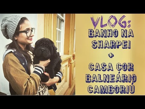 Vlog: Banho na filhote de shar pei, Talk Show Casa Cor SC