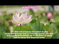 Invisible Beauty _ Relaxing sound