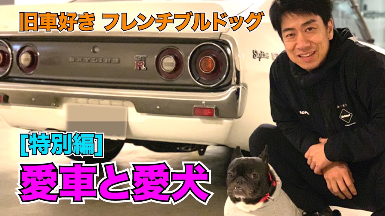 特別編 愛車と愛犬 旧車好きフレブル Youtube