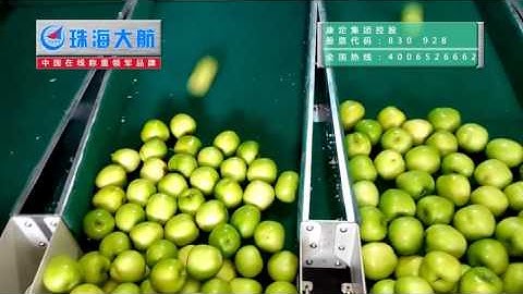 fruit sorting machine from DaHang Automation manufacturer