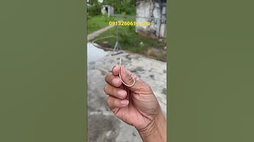 Lưỡi câu cà mau, #luoicau