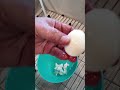 Perfectly Peel Eggs Every Time! Easy Kitchen Hack You Need