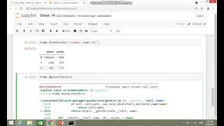 108.  Specifying threshold option with Dropna in pandas: Removing null values