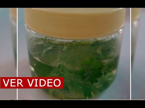 jamás-volverás-a-tener-manchas-ni-arrugas,-si-lava-tu-cara-con-esto-antes-de-acostarte-|-mejor-salud