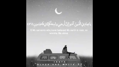 تلاوة هادئة للقارئ عبد الرحمن مسعد 🎧 حالات وأتس اب دينية, مقاطع أنستقرام أسلامية, مقاطع دينية قصيرة