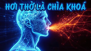 Hơi Thở Lượng Tử: Bí Mật Tái Tạo Hiện Thực Của Bạn | Ánh Sáng Tâm Trí