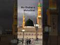 wo shahar e Mohabbat✨#wgitachi#trending#viral#viralshort#shortfeed#shorts#short#islam#islamic#muslim
