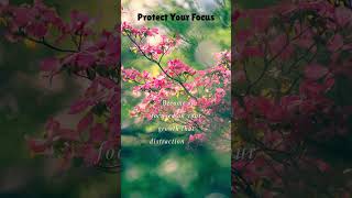 Protect your focus   #positivevibes #quotes #positivemindset