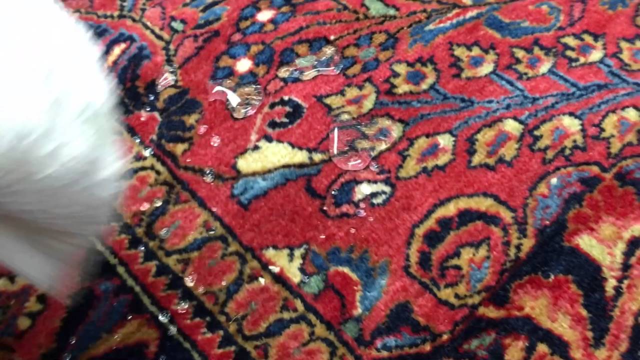 Artistic Rug Care Cleaning In Wichita Ks July 2018 You Artistic Rug Care Cleaning In Wichita Ks July 2018