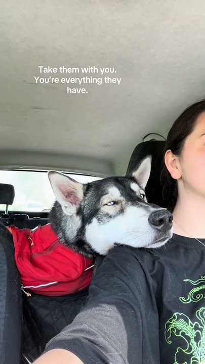 https://vt.tiktok.com/ZSB9o2Jrp/