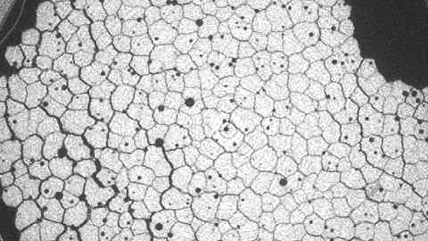 Xray tomography of columnar joints in cornstarch.