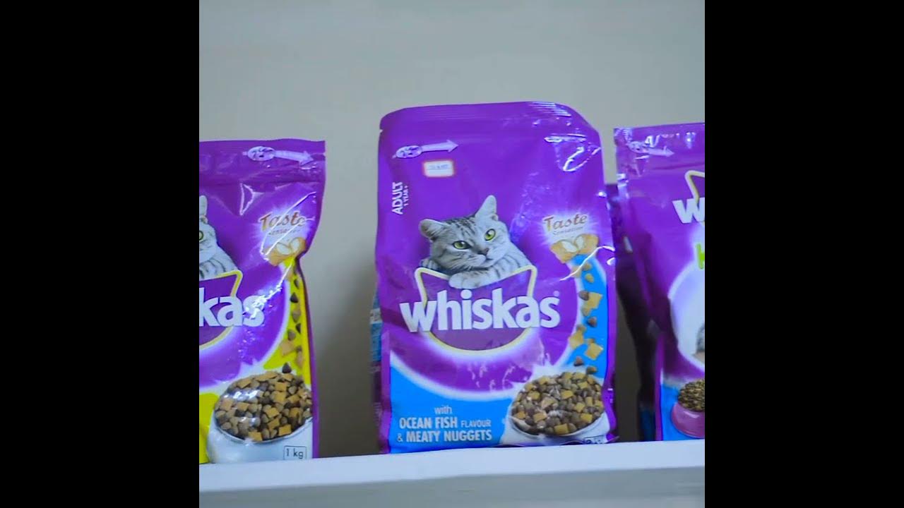 PET STORE KIGALI RWANDA YouTube