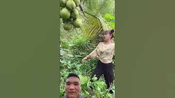 Cách uống nước dừa độc đáo #farming