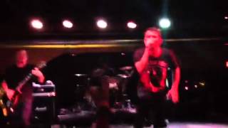 Adestria-Matt's speech and the end of 1984 live 2012