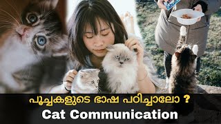 പൂച്ചകളുടെ ഭാഷ മനസ്സിലാക്കാം | Cat Language in Malayalam | Athul Vijayan
