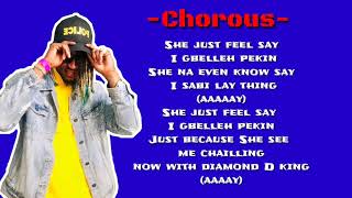 D. King ft. Christoph Gbelleh Pekin lyrics video (Liberian music 2021)